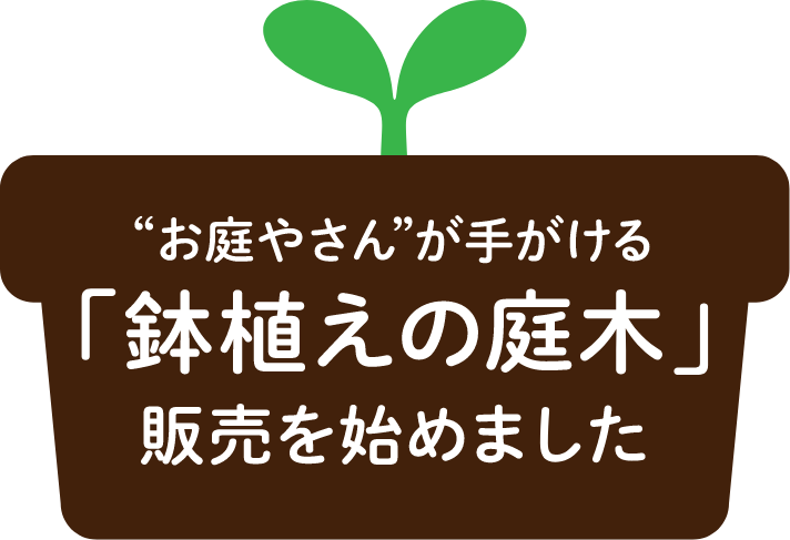 “お庭やさん”が手がける「鉢植えの庭木」販売を始めました